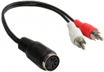 Audio-Stereo-Adapterkabel DIN an 2x Chinch, 0,2m